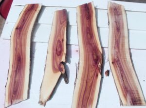 Lilac slices to be used by Lutefisk Woodworking handmade in Port Edwards, WI